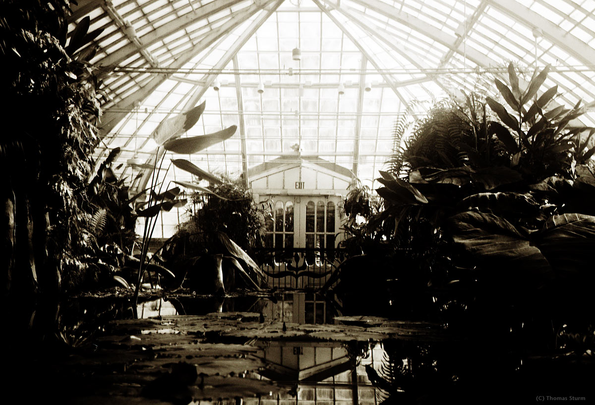 Old Conservatory