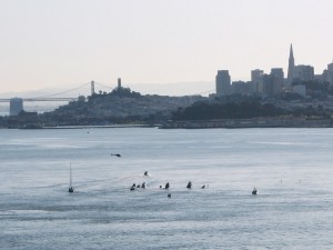 Golden Gate Endeavor 1